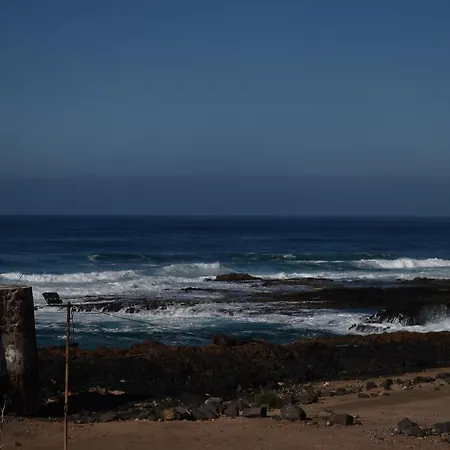 Flor Del Cotillo